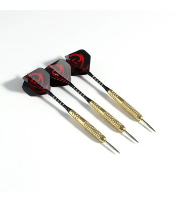 Pegasi Darts Set 22gr. ZTR