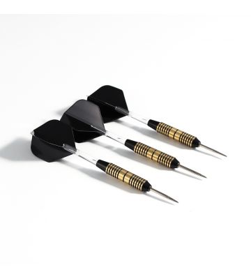 Pegasi Darts Set 25gr. Schwarz