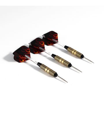 Pegasi Darts Set 25gr. Flammen