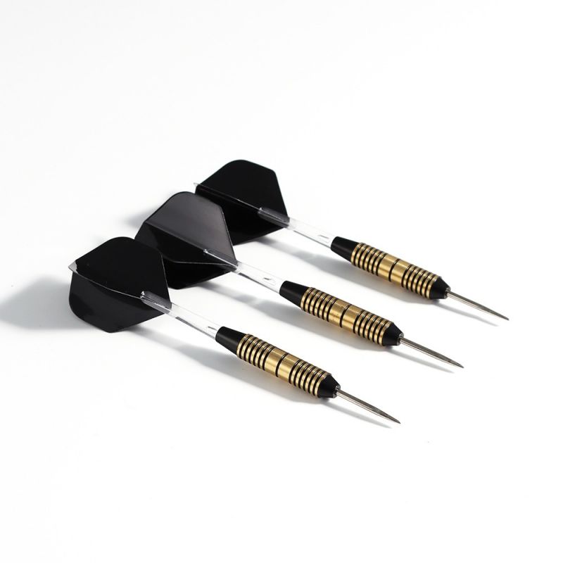 Pegasi Darts Set 25gr. Schwarz