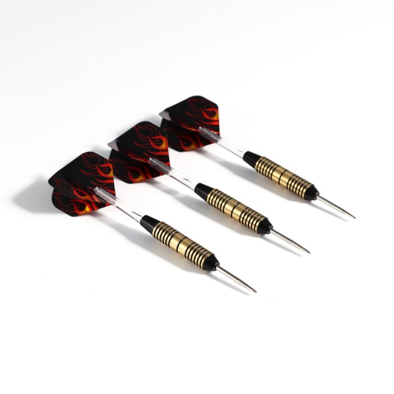 Pegasi Darts Set 25gr. Flammen